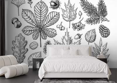 Autumn vector set with leaves, berries, fir cones, nuts, mushroo Wall mural