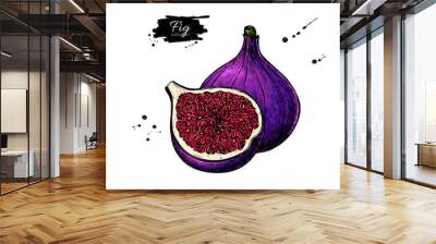 Fig vector drawing. Hand drawn fruit and sliced piece. Summer fo Wall mural