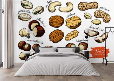 Nuts vector drawing. Detailed food illustration. Hand drawn sketch objects. Wall mural