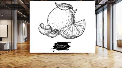 Orange vector drawing. Summer fruit engraved  illustration. Isolated hand drawn Wall mural