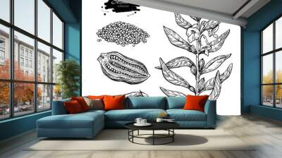 Sesame plant vector drawing. Hand drawn food ingredient. Botanic Wall mural