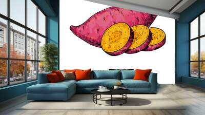 Sweet potato hand drawn vector illustration. Isolated Vegetable  Wall mural