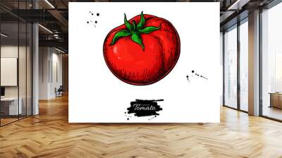 Tomato vector drawing. Isolated tomato and sliced piece. Vegetable illustration. Wall mural