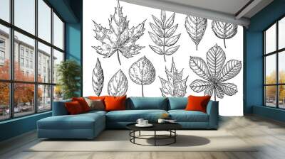 Vector autumn drawing leaves set. Isolated objects. Hand drawn d Wall mural