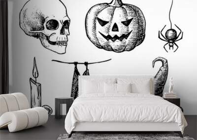 Vector hand drawn Halloween set. Vintage illustration. Wall mural