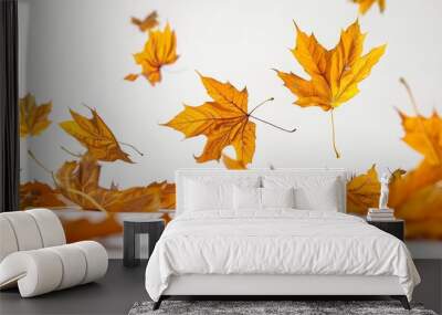 Autumn leaves fly and fall on a white background Wall mural