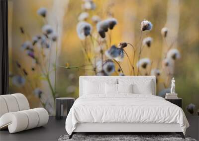 Beautiful panoramic autumn scenery with dry grass and bokeh background Wall mural