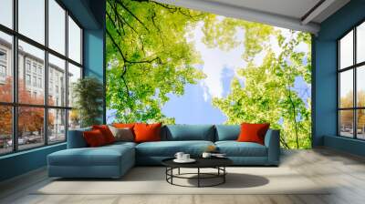 Green leaves of trees on a blue sky Wall mural