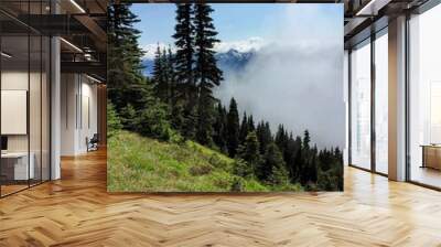 Pine tree forest landscape with mountain and fog in background Wall mural