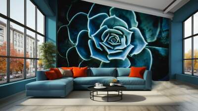 flor de suculenta azul Wall mural