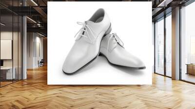 pair white dress shoes Wall mural