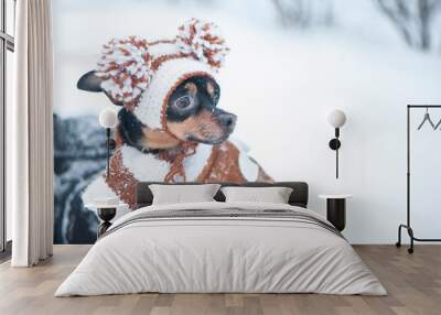 Cute puppy, dog, toy terrier in scarf, portrait macro, new year, christmas. There is a white fluffy snow. Christmas card, winter team Wall mural