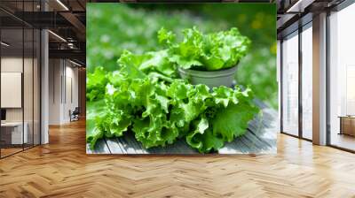 Fresh lettuce leaves, close up,  Organic food , agriculture and hydroponic conccept, rustic style Wall mural