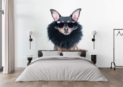 Luxury dog with dark glasses and boa isolated on white Wall mural