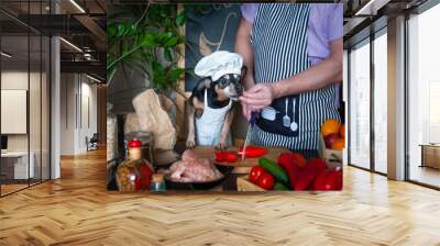 Man in an apron and his dog in a chef's cap and apron are cooking food in the kitchen. A very cute photo of friendship and joint activities. Cooking concept Wall mural