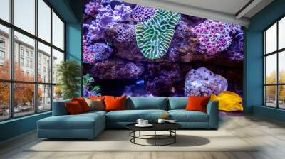 Underwater coral reef landscape background in the deep lilac ocean Wall mural