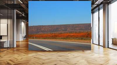 road in the desert in australia Wall mural