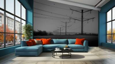 The electric wires Wall mural