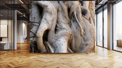 Old Roots Texture Wall mural