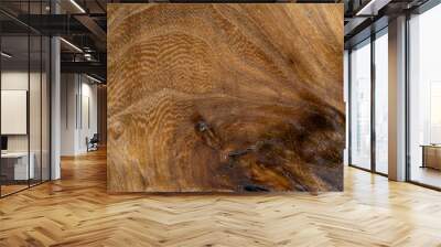 Background of exotic wood grain Wall mural