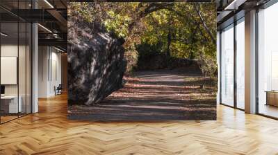 Road in autumn in the forest of La Herreria, San Lorenzo del Escorial Wall mural