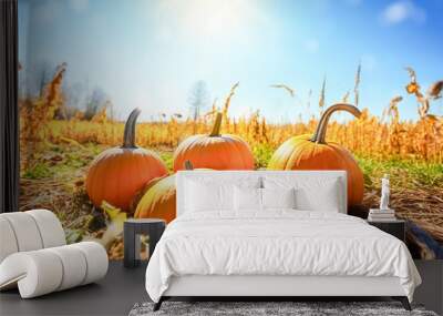 Orange pumpkins over nature background at sunny day Wall mural