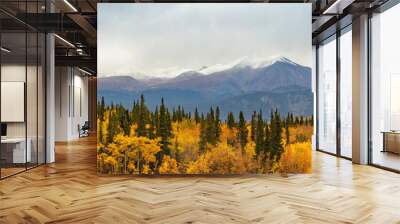 Alaska mountains landscape nature background in autumn fall season. Snow peaks banner panorama. Wall mural