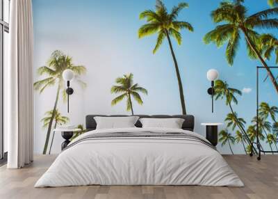 Hawaii tall palm trees with sun flare against blue sky summer travel background USA vacation destination. Wall mural