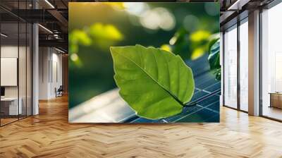 A close-up of solar panels with sunlight shining on them, and an isolated green leaf placed next to the panel Wall mural