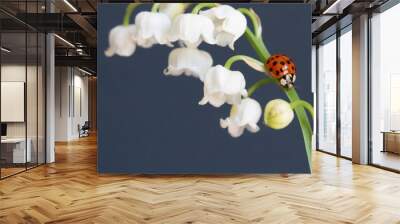 muguet Wall mural