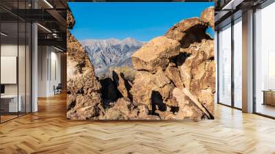 rock formations in desert valley with distant mountains extreme terrain in California Wall mural