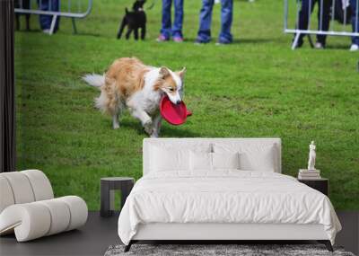 chien jouant au frisbee Wall mural