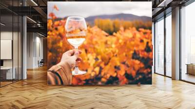 White wine in wineglass near grapevine with red and yellow leaves on vineyard at bright sunlight on nice autumn day closeup. Wall mural