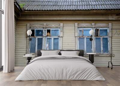 cats play on the window of an old wooden house Wall mural