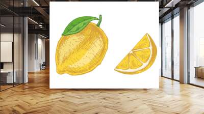 Hand-drawn sketches of lemon, lime and lemon slice. Vintage lime or lemon fruit. Vector black ink outline food sketch illustration of juicy lime with leaf for fresh drinks. Wall mural