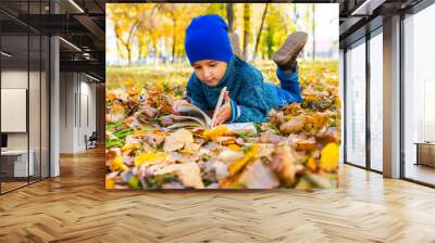 boy lying on his stomach reading a book in the fall in the Park Wall mural