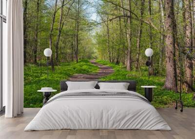 summer forest landscape Wall mural