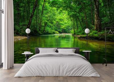 Pristine river flowing through green forest wilderness Wall mural