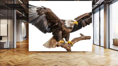 Regal bald eagle photo realistic illustration - Generative AI. Wall mural