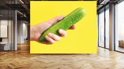 Ripe cucumber in a female hand on a yellow background. Close-up on a hand with a cucumber. Harvest. The concept of healthy eating and diet. Vegetables. White female hand shows a fresh tasty cucumber Wall mural