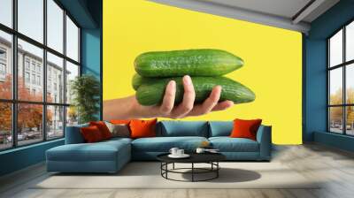 Ripe cucumber in a female hand on a yellow background. Close-up on a hand with a cucumber. Harvest. The concept of healthy eating and diet. Vegetables. White female hand shows a fresh tasty cucumber Wall mural