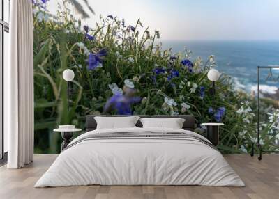 wild flowers on the ocean coast against the blue sky Wall mural