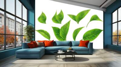 Set of Realistic Green Leaves Collection. Spring.Element for design, advertising, packaging products white background 3d illustration Wall mural