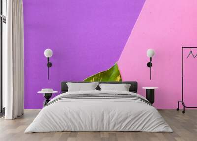 Colorful pink and violet paper background with leaf on it Wall mural