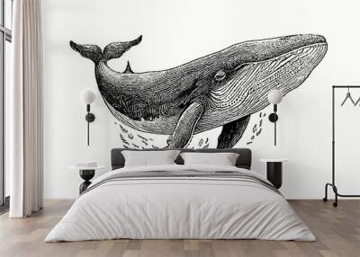 Big whale isolated on a isolated background, sketch, engraving, big whale, sperm whale. Vector	 Wall mural