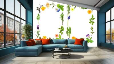 Herb and Flower Leaf Borders Wall mural