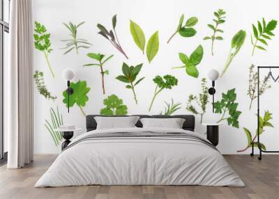 Herb Leaf Selection Wall mural