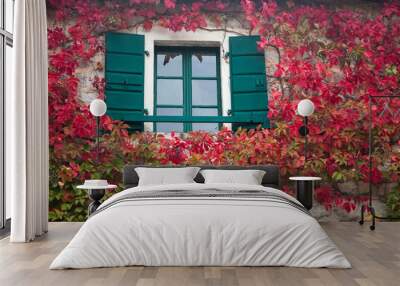 Autumn vine red leaves decorate window with wooden green shutters and stone wall of old rural country house Wall mural