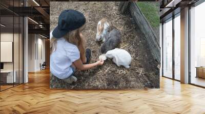 Closeup photo of a little Caucasian blonde girl in the black hat is feeding three bunnies on the farm Wall mural