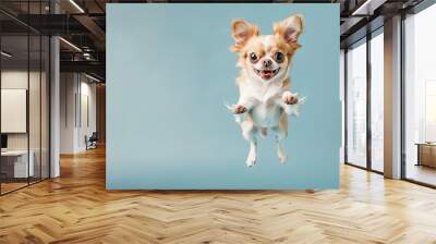 Active agile puppy jumping high in the air on a blue color studio background. Young dog playing, flying. Cute Chihuahua pup looking happy isolated on colorful backdrop. Creative flyer for your ad Wall mural